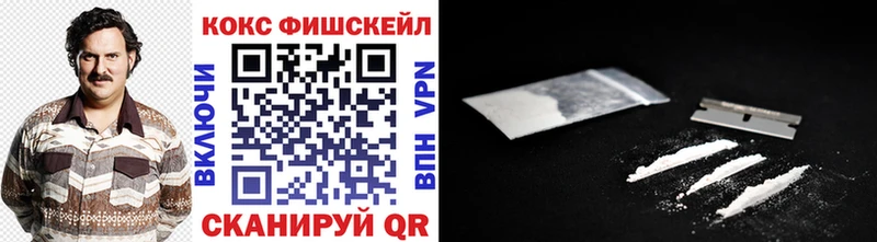наркотики  Сковородино  Кокаин Fish Scale 