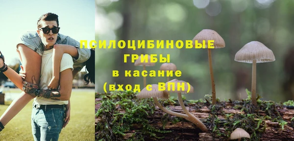 2c-b Богданович