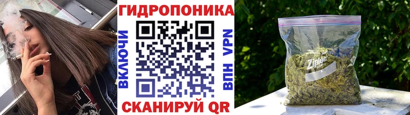 наркошоп  Сковородино  Конопля индика 